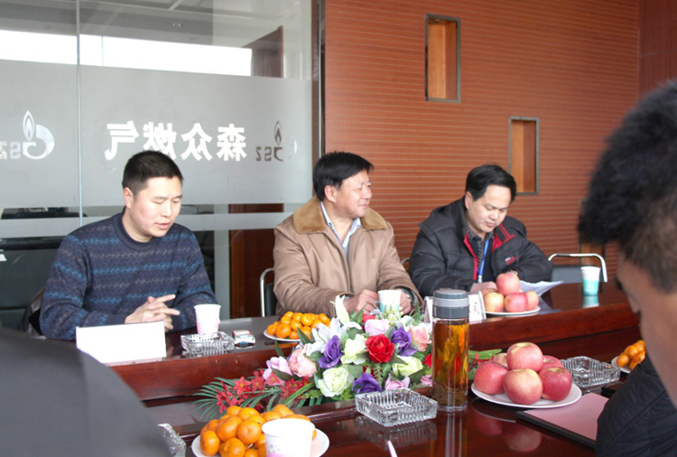 林口县政府与千亿官网网页版入口-千亿(中国)燃气项目洽谈.png